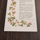 Nimipäiväkortti/ Martti, signeerattu taiteilijakortti - pikkukuva 1
