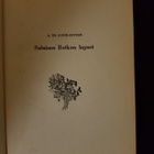salaisen rotkon lapset - pikkukuva 3