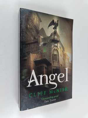 Cliff McNish : Angel