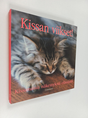 Kissan viikset! : kissamaisia näkemyksiä elämästä