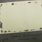 VANHA Valokuva Kuopio 1927 - pikkukuva 2