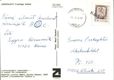 RIVILEIMA KOIVIO