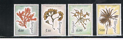 Färsaaret 1996 - Meriheiniä (4) ++