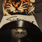 Survivor -Eye of the tiger - pikkukuva 1