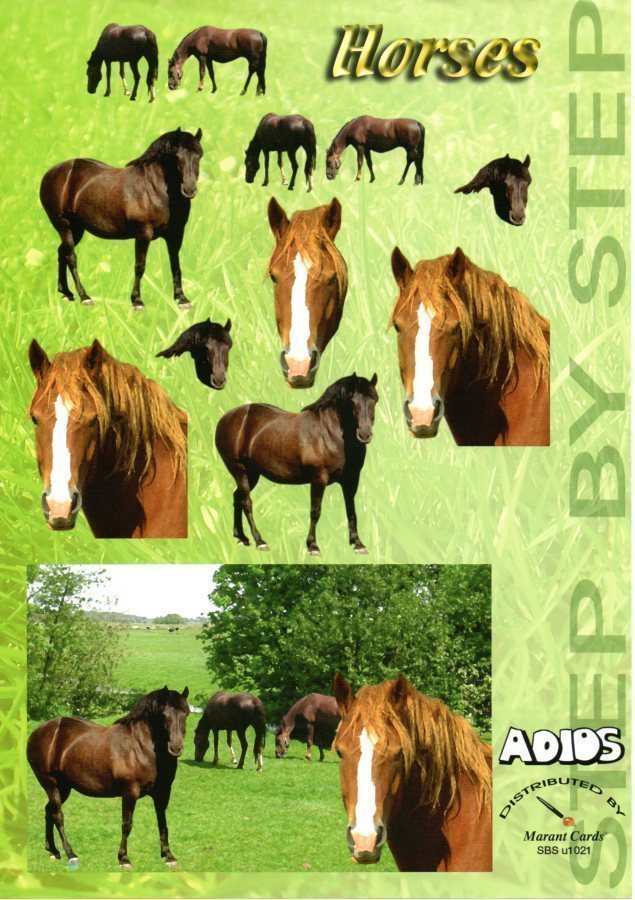 3D  °"HEVOSET KESÄLAITUMELLA"° / Horses