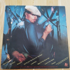 PETER BROWN : Stargazer -LP - pikkukuva 2