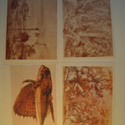 Italian drawing Hermitage Leningrad - postikortti sarja - pikkukuva 3