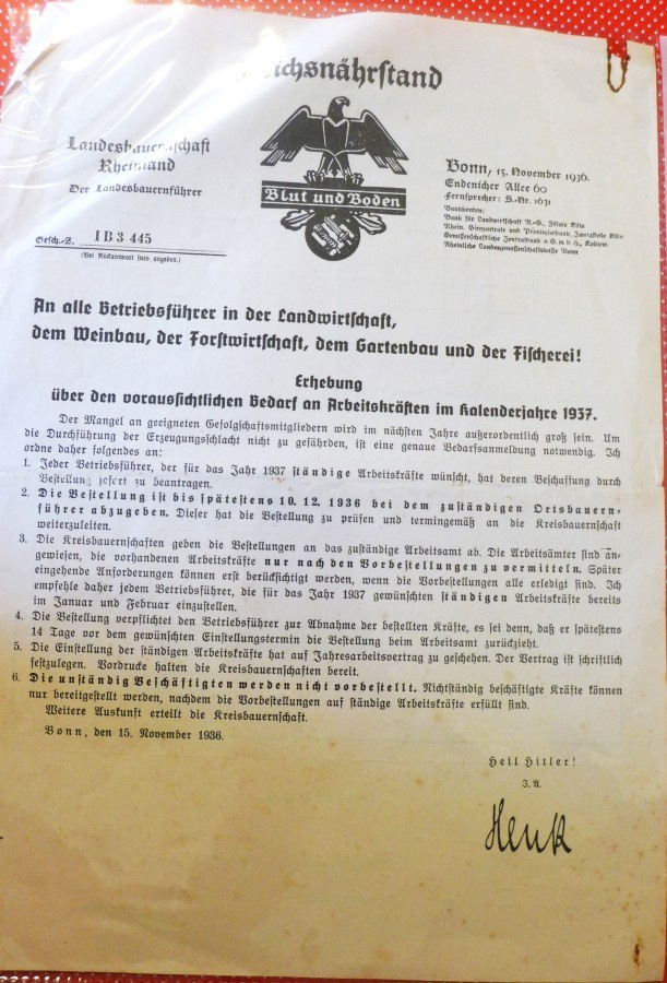 Dokumentti saks.1936 hakaristi ravinto-maanviljely
