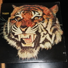 Tiger / Big Jim Sullivan LP - pikkukuva 1