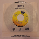 Ramones Baby I Love You / High Risk Insurance 7" sinkku - pikkukuva 2