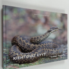 Jarmo Latva : Kiehtovat kyyt : tunsitko? tiesitkö? - pikkukuva 1
