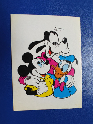 DISNEY TARRAKUVA