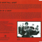 Disco Ensemble • We Might Fall Apart CD-Single - pikkukuva 2