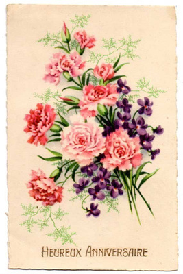 KUKKIA / Kesäisen kauniit neilikat ja orvokit. 1900-l.