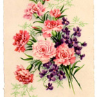 KUKKIA / Kesäisen kauniit neilikat ja orvokit. 1900-l. - pikkukuva 1