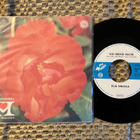 Eija Sinikka - Voi Heikki kulta/Ilta vanhassa maestrossa - pikkukuva 1