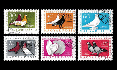 Unkari 1505-10 o Kansainvälinen kyyhkysnäyttely (1957)
