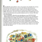 Roald Dahl <> KIRAHVI KAANI JA MINÄ - pikkukuva 3