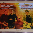 CD - BLUES BASTARDS - Overdose - 2004 suomi blues EX - pikkukuva 2