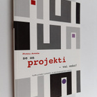 Pirkko Anttila : Se on projekti - vai onko? : kulttuurial... - pikkukuva 1