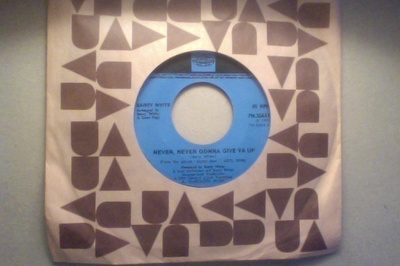 BARRY WHITE  ::  NEVER, NEVER GONNA GIVE YA UP : VINYYLI  7"