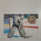 1995-96 Parkhurst International Goal Patrol #10 Arturs Irbe - pikkukuva 1
