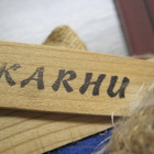 HIIHTÄJÄ KARHU - pikkukuva 5