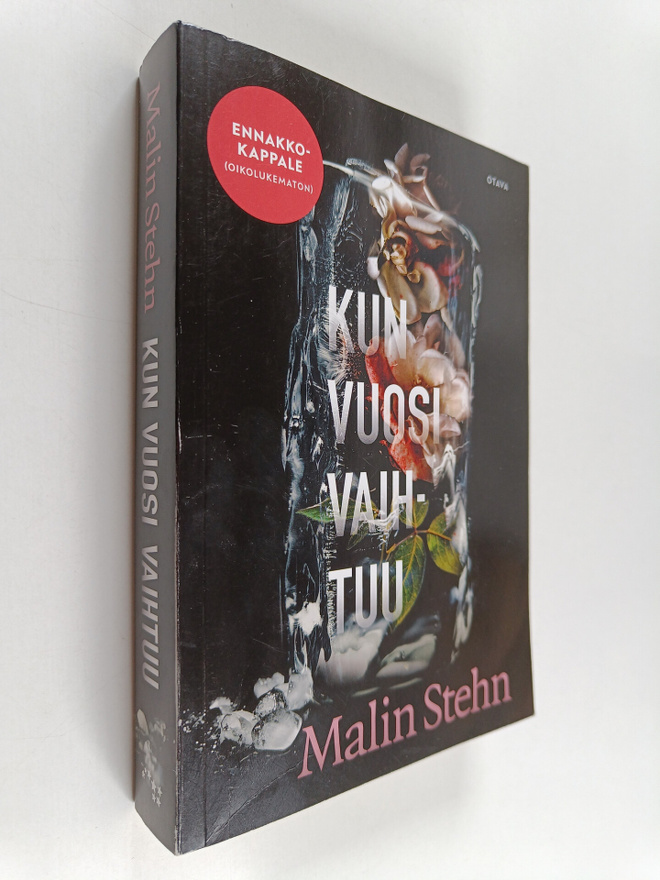 Malin Stehn : Kun vuosi vaihtuu (ennakkokappale)
