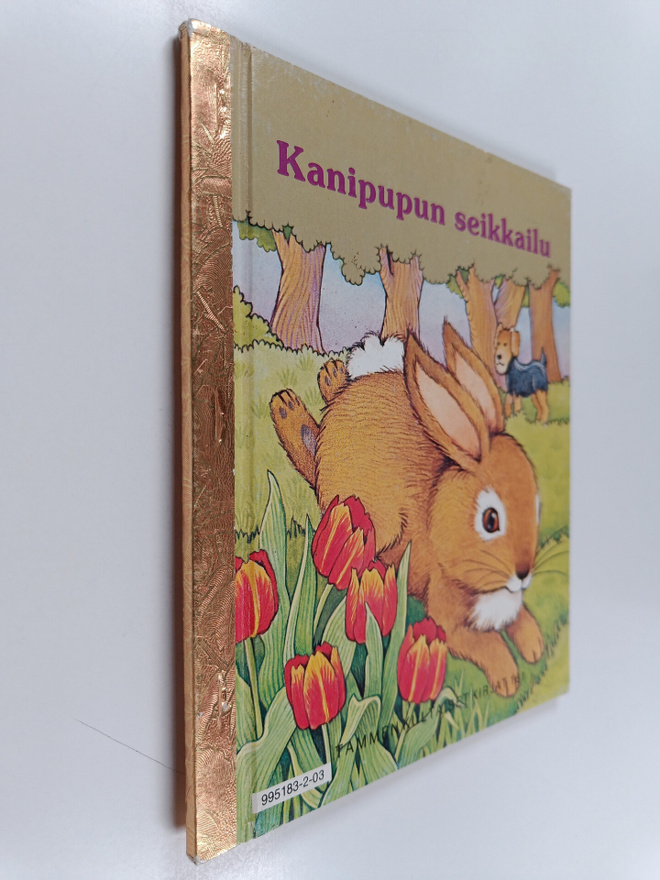 Betty Ren Wright : Kanipupun seikkailu