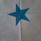Sisustustyyny 45x45cm - pikkukuva 1