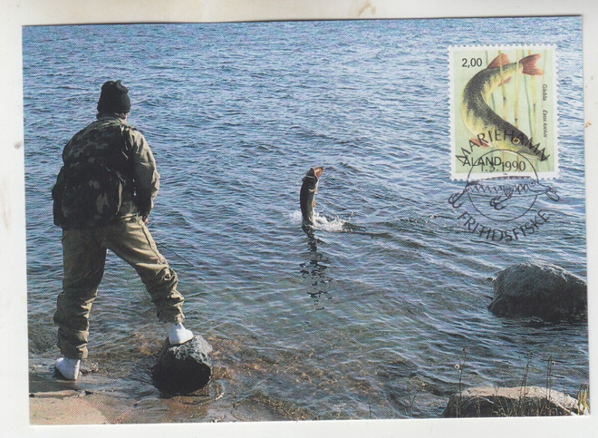 Åland 1990  haukimaksimikortti.