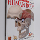 Frances Williams : Human body - pikkukuva 1