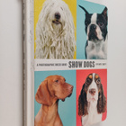 Kate Lacey : Show Dogs - A Photographic Breed Guide - pikkukuva 1