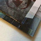 Chimaira . The infection CD + DVD - pikkukuva 3