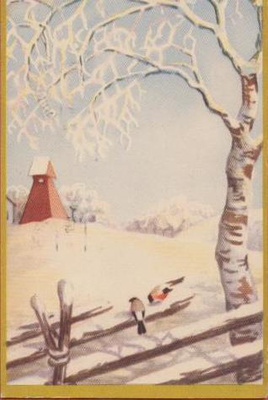 Käthe Norborg Linnut aidalla