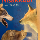 JUHA VALSTE: NISÄKKÄÄT - pikkukuva 1