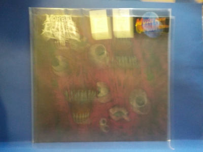 MORBID EVILS/ALBINÖ RHINO - S/T M-/M- FIN 2016 12" SPLIT