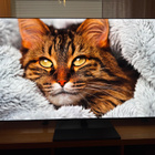 LG G3 77" OLED Evo 4K UHD TV (77 tuumaa) - pikkukuva 1