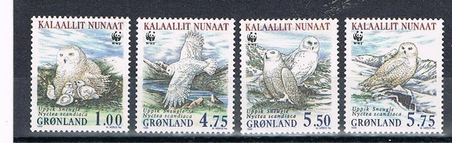 Grönlanti 1999 - WWF: Pöllöjä (4)  ++