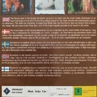 Big bears in the wild - pikkukuva 2