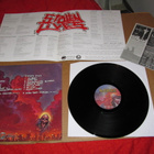 Lahar / Stolen Lives  LP Lahar / Stolen Lives v.2009 - pikkukuva 2