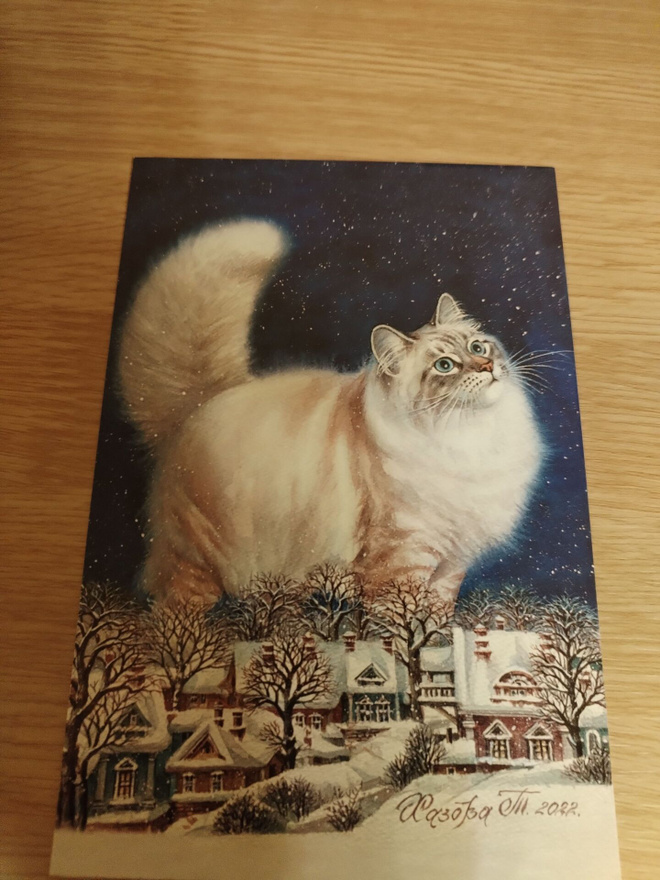 Kissa  kortti,kulkematon.