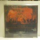 SAXON - S/T M-/EX LP + 4 NIMMARIT!!! - pikkukuva 2