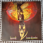 Nazareth Expect No Mercy LP HYVÄ!! - pikkukuva 1