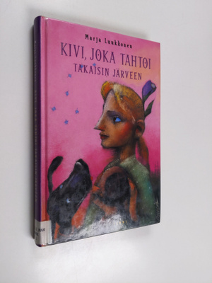 Marja Luukkonen : Kivi, joka tahtoi takaisin järveen