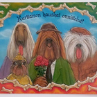 "Hurttaisen hauskat onnittelut!"-KULKEMATON POSTIKORTTI - pikkukuva 1