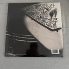 Pearl jam rearviewmirror  LP - pikkukuva 2
