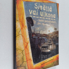 Sisällä vai ulkona : kohti perustuloa? - pikkukuva 1