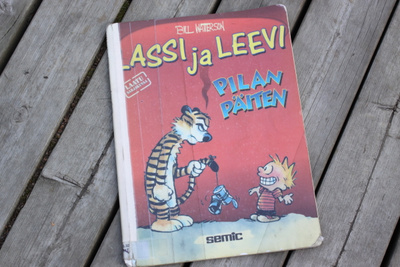 LASSI JA LEEVI PILAN PÄITEN Y1