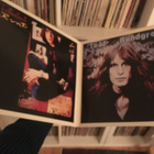 (LP) Todd Rundgren - Runt / Hermit Of Mink Hollow - pikkukuva 2
